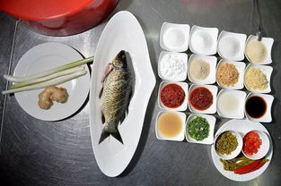 盛夏養(yǎng)陽(yáng)正當(dāng)時(shí)——中醫(yī)視角下的老年人夏季養(yǎng)生保健指南